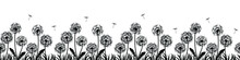 Banner With Flowers, Dandelions. Silhouette Of Black Dandelions On White Background. Floral Print Pattern, Textile Pattern. Seamless Vector Illustration. Black Flowers With Black Grass, Flying Seeds.