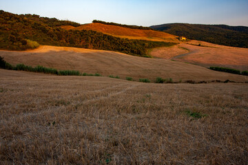 Wall Mural - sunset in the tuscany


