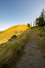 Wall Mural - path in the mountains