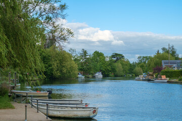 The River Thames, Shepperton, Surrey, UK.