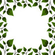 © Xaphana - Vector background with green leaves; for greeting cards, invitations, packaging, posters, banners.