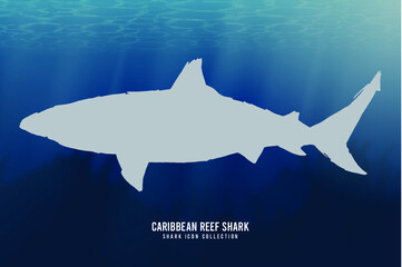 Caribbean Reef Shark