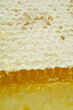Sweet golden honeycomb acacia honey piece in closeup
