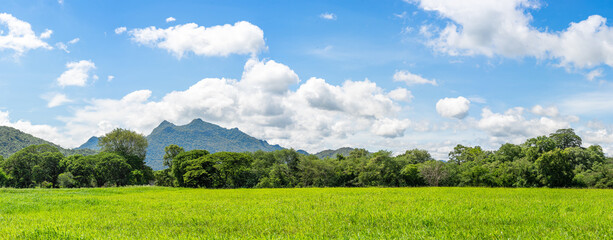 Wall Mural - panorama landscape view of green grass field agent blue sky
