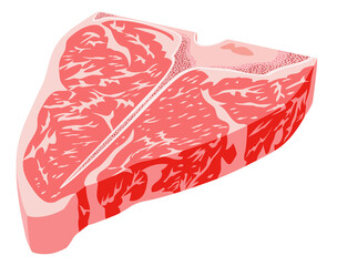 Raw beef T-bone steak against white background