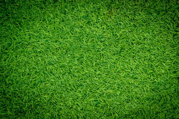 Green artificial grass natural