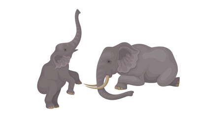 Wall Mural - african elephant with grey skin and trunk in different poses vector set
