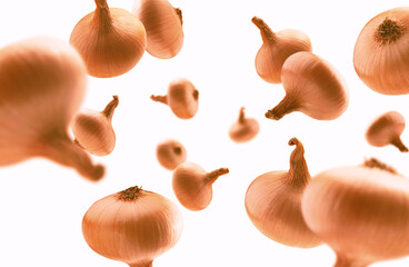 Ripe Golden onion levitates on a white background