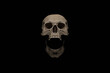 © Jamo Images - Human skull with wide open mouth on black background. 3D rendering.