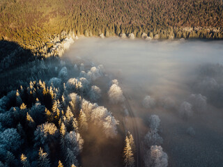 Wall Mural - Autumn-winter nature landscape aerial view. Foggy morning forest from above. Amazing nature scene at misty sunrise. 