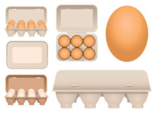 Chicken Eggs In Carton Vector Design Illustration Isolated On White Background