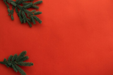 Wall Mural - Close up view of fir tree branch, Christmas mood background 