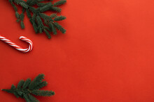 Close Up View Of Fir Tree Branch, Christmas Mood Background 