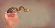 illustration of a glass head with a snake inside. Metaphor of cunning, deceit, deceit