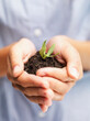 © momentimages/Tetra Images - Woman holding sapling