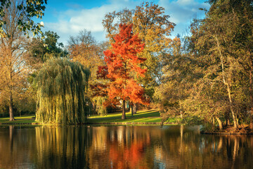 Wall Mural - A beautiful park with autumn trees reflecting in the water i