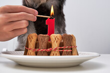 Unrecognizable Crop Owner Lighting Candle On Tasty Cake For Dog At Birthday Party At Home