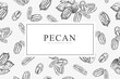 Card with pecan nuts. Line art style.