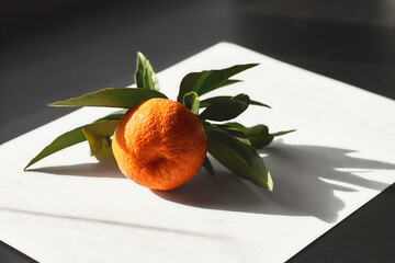 Wall Mural - Tangerine or orange, clementine,citrus fruits with green leaves on black and white background. Selective focus. Ripe juicy tangerines with leaves