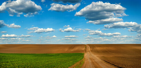 grren wheat field with dirt road near plowed land at spring, beautiful blue sky with clouds