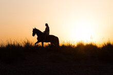 Silhouette Of A Girl Riding A Horse Under A Beautiful Sunset