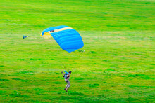 A Parachutist With A Yellow-blue Parachute Canopy Lands On The Grass. Skydiving.