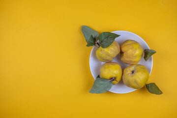 freshly picked quince with leaves placed on a white plate on yellow background