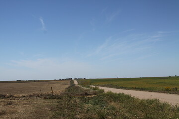 Wall Mural - landscape in the country