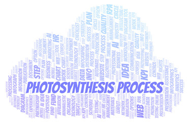 Photosynthesis Process typography word cloud create with the text only.