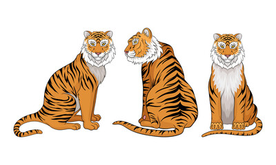 Wall Mural - tiger as large cat specie with dark vertical stripes on orange-brown fur vector set