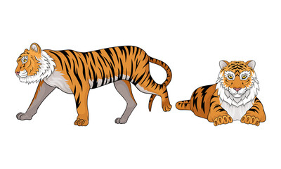 Wall Mural - tiger as large cat specie with dark vertical stripes on orange-brown fur vector set