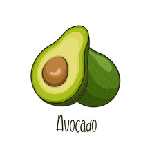 Isolated Avocado Vector, Avocado Illustration Cartoon Styleisolated Avocado Fruit Vector, Avocado Illustration Cartoon Style