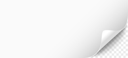 Wall Mural - Horizontal web banner template, background with space for your text or picture.