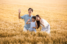 Happy Young Family Having Fun In Wheat Field