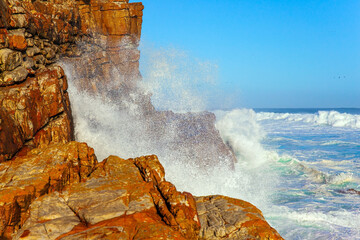 Poster - The tip of the Cape Peninsula