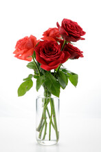 A Bouquet Of Red And Orange Roses On A Glass Jar Fill With Water Isolated On White Background
