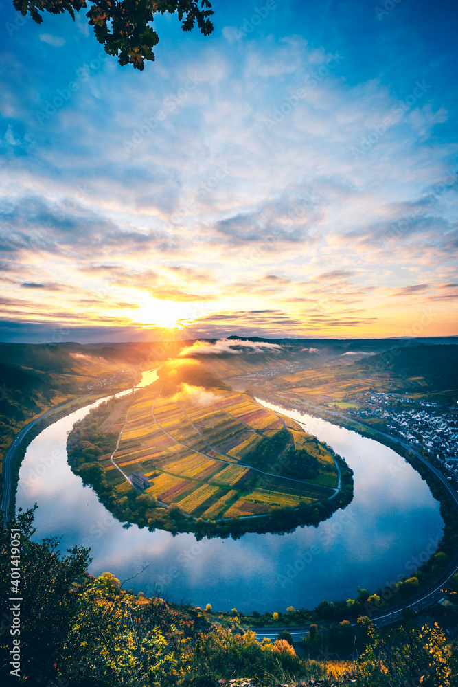 The Moselle loop, a beautiful river in Germany, makes a 180 degree loop. with vineyards and a great landscape and lighting in the morning - obrazy, fototapety, plakaty 