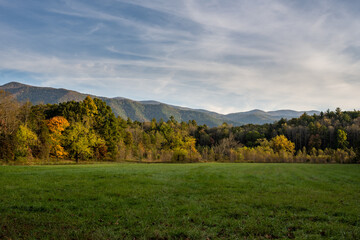 Poster - Peaceful Field With Layers of Trees and Mountains