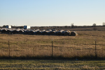 Canvas Print - Hay Bales in a Field