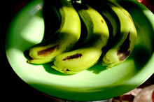 Green Banana On A Green Plate