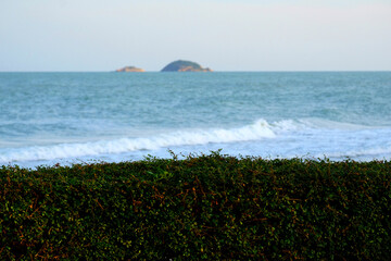 Wall Mural - Tree fence on blur sea with twin islands background