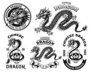 Wall Mural - Stylish Chinese dragon black and white tattoo vector illustration set. Vintage traditional Asian monster. Oriental culture and mythology concept can be used for retro template, banner or poster