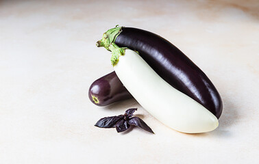 Fresh delicious white and purple eggplants with purple basil. Copy space.