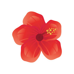 Poster - hawaiian flower icon vector design