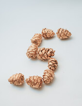The Number 5 Or The Letter S Made Of Gilded Spruce Cones On A White Background. Sample Number Or Letter For A Design Or Social Media. Decorative Cones To Decorate Articles