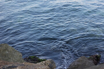 close up of a sea wave