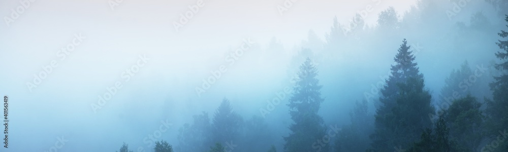 Gauja river valley and evergreen pine forest in a clouds of thick mysterious fog at sunrise. Sigulda, Latvia. Breathtaking panoramic aerial view. Pure nature, environmental conservation, ecotourism - obrazy, fototapety, plakaty 