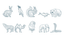 Group Of Ten Animals Realistic Characters Drawn Style Icons