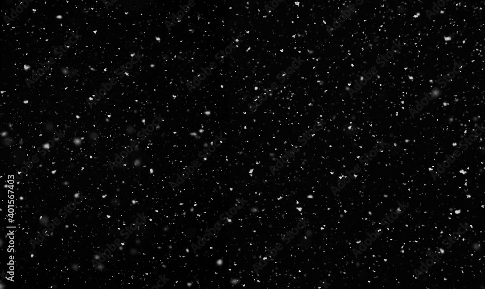 Falling snow isolated on black background - obrazy, fototapety, plakaty 