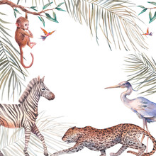 Jungle Frame. Illustration With Crane, Monkey, Leopard And Zebra. Watercolor Animal And Tropical Flora On White Background.